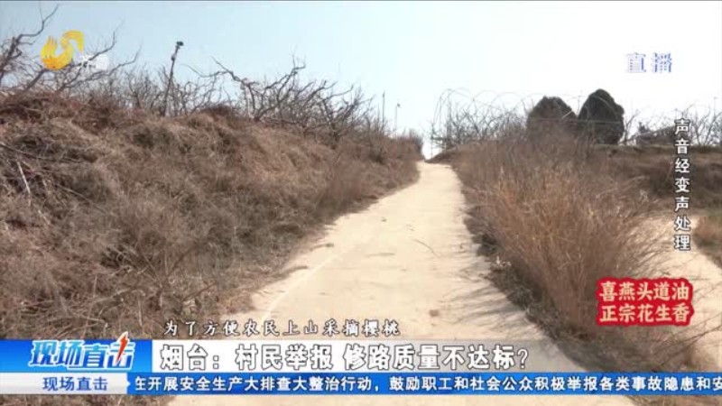 烟台：村民举报 修路质量不达标？