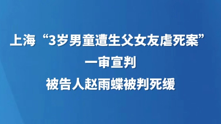上海“3岁男童遭生父女友虐死案”一审宣判 被告人赵雨蝶被判死缓