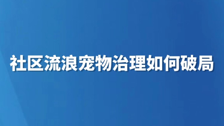 社区流浪宠物治理如何破局