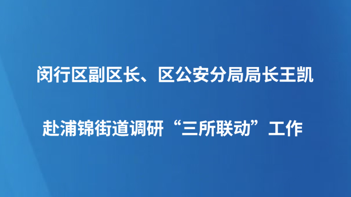 闵行区副区长、区公安分局局长王凯赴浦锦街道调研“三所联动”工作