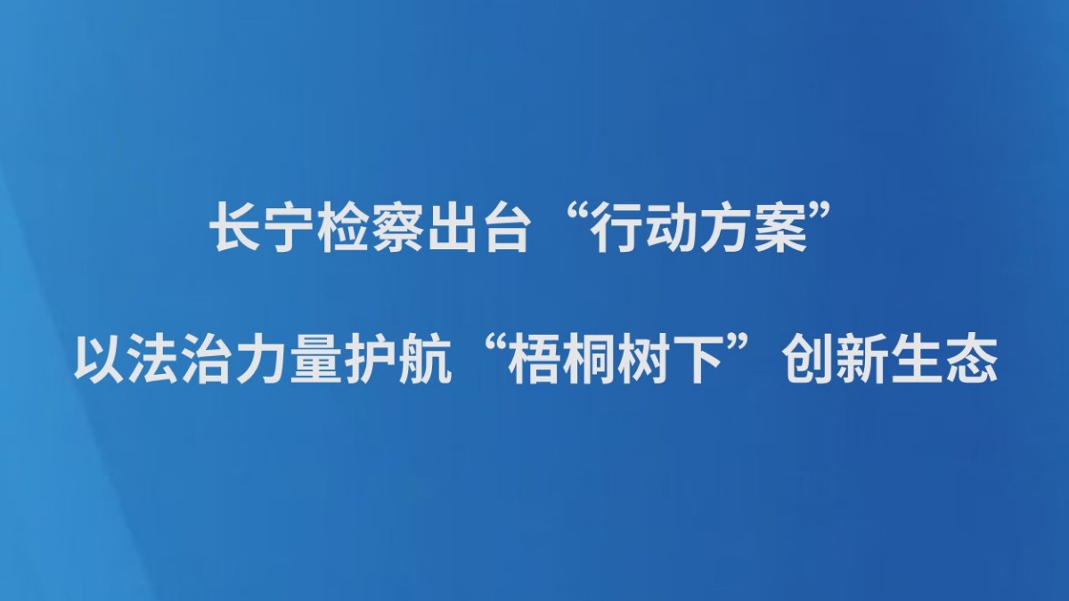 长宁检察出台“行动方案” 以法治力量护航“梧桐树下”创新生态