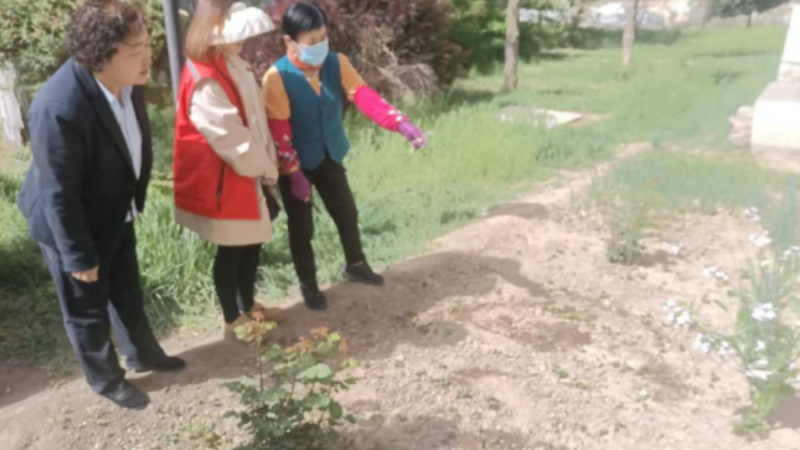 银川市兴庆区东方社区：退违规菜园 解邻里心结