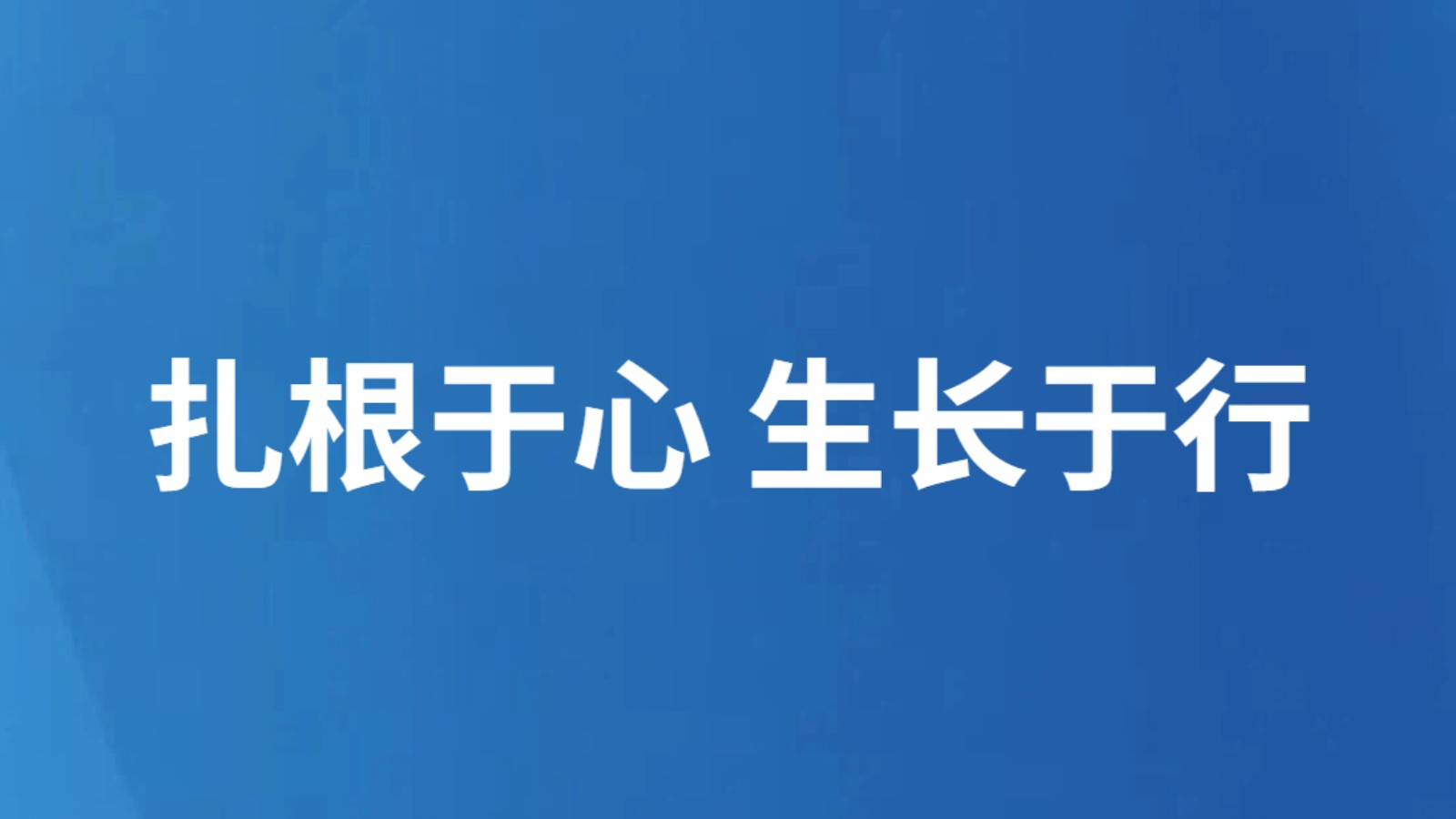 扎根于心 生长于行