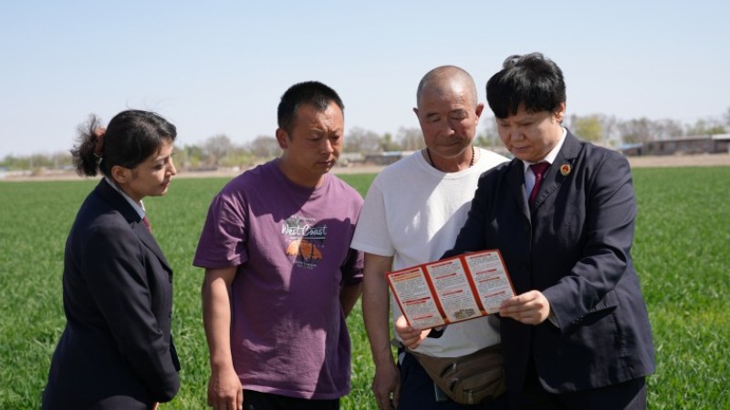 新疆乌苏市：兵地融合聚合力 普法宣传暖民心
