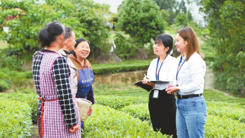 让集体“钱袋子”晒在阳光下