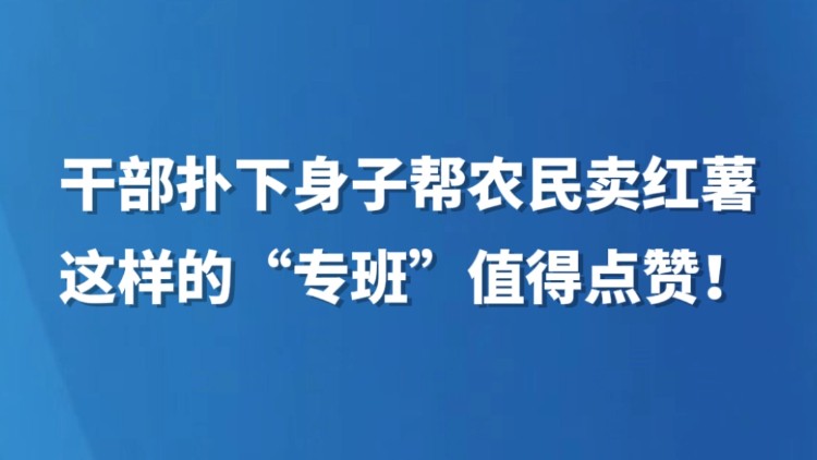 干部扑下身子帮农民卖红薯，这样的“专班”值得点赞！
