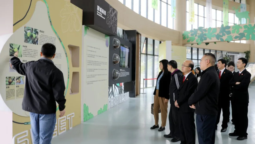 四川内江：知识产权宣传周 | 司法护航地理标志产品   助力乡村经济高质量发展