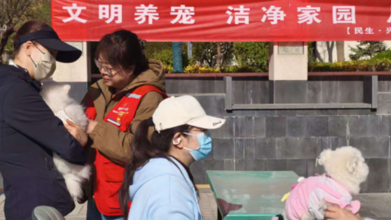 银川市兴庆区泰和社区：清粪便优环境 讲法治促文明