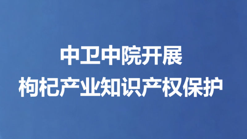 中卫中院开展枸杞产业知识产权保护