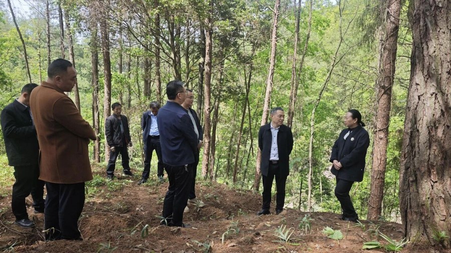 达州市林业局赴万源市魏家镇调研托底帮扶工作