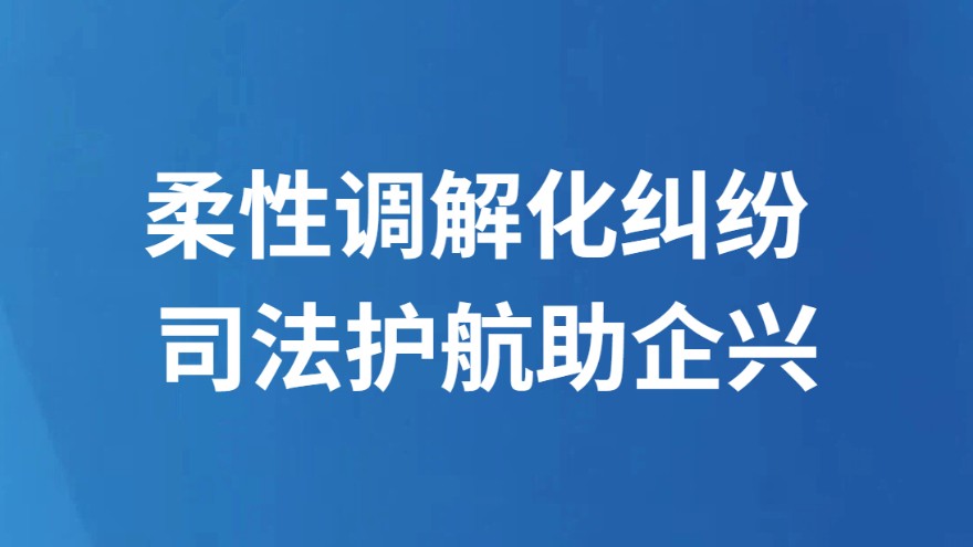 柔性调解化纠纷 司法护航助企兴