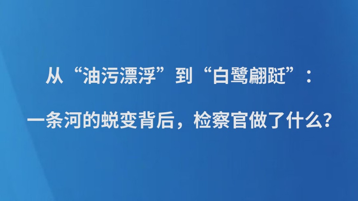 从“油污漂浮”到“白鹭翩跹”： 一条河的蜕变背后，检察官做了什么？