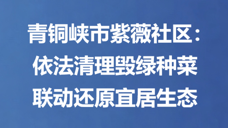 青铜峡市紫薇社区：依法清理毁绿种菜 联动还原宜居生态