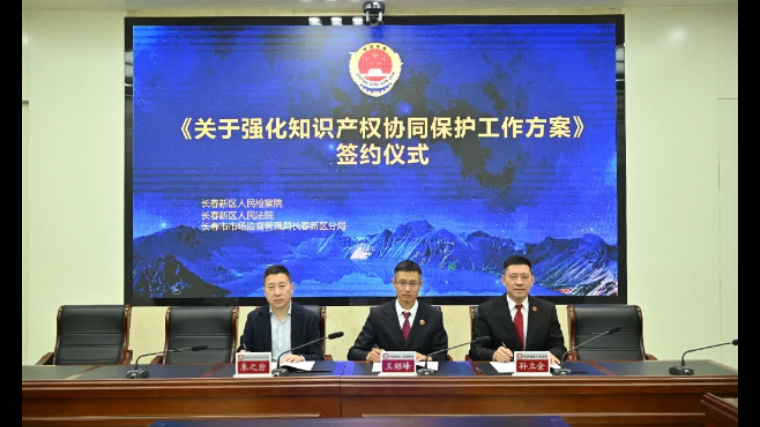吉林长春新区人民法院全力推进知识产权协同保护走深走实