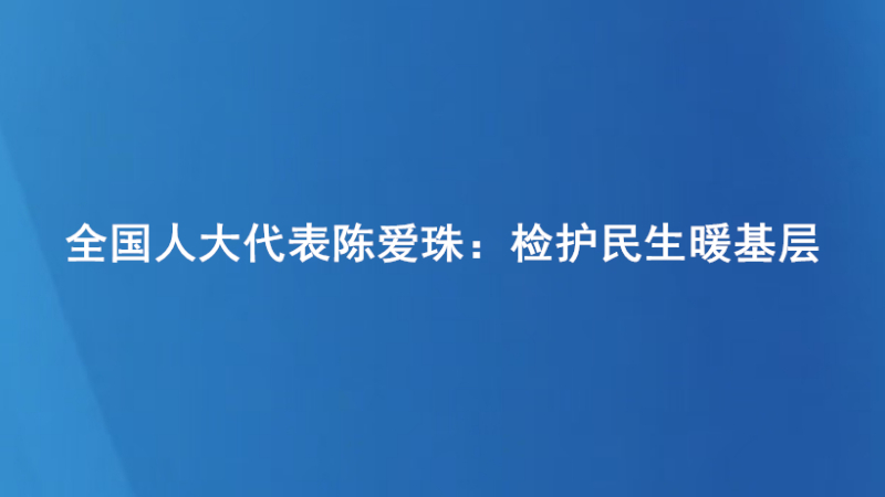 全国人大代表陈爱珠：检护民生暖基层