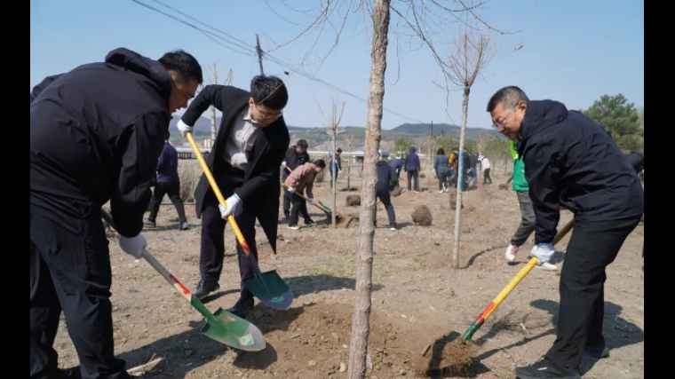 吉林省图们市法院：植绿护绿践初心 司法护航“绿美图们”
