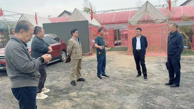 土地开出的健康“方”