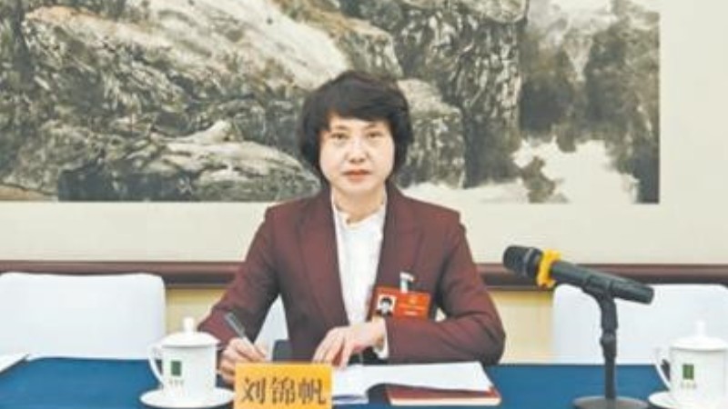 全国人大代表刘锦帆：以法治之力守护“风光”经济