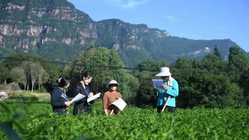 泸州叙永：构建监督闭环 筑牢招投标廉洁防线
