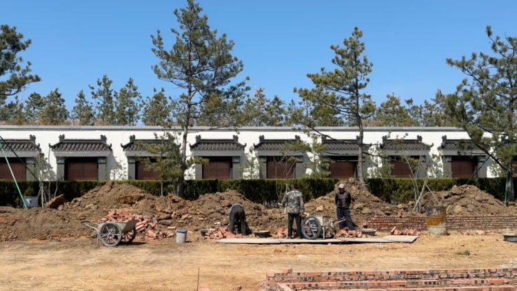 生态园竟变豪华“住宅式”墓地，售价200万元！总台记者调查