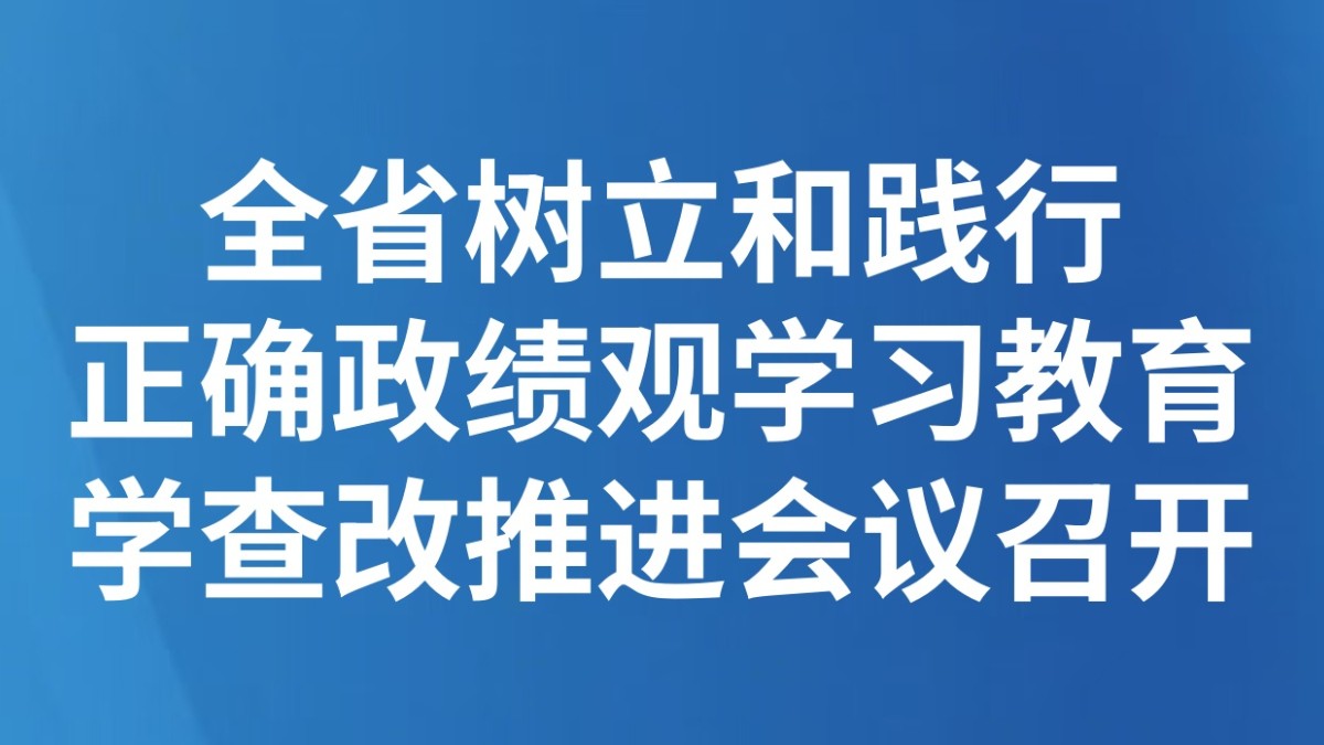 全省树立和践行正确政绩观学习教育学查改推进会议召开