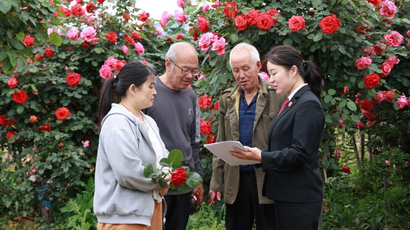 河南省南阳市卧龙区法院：“护花使者”进花田，司法服务暖民心