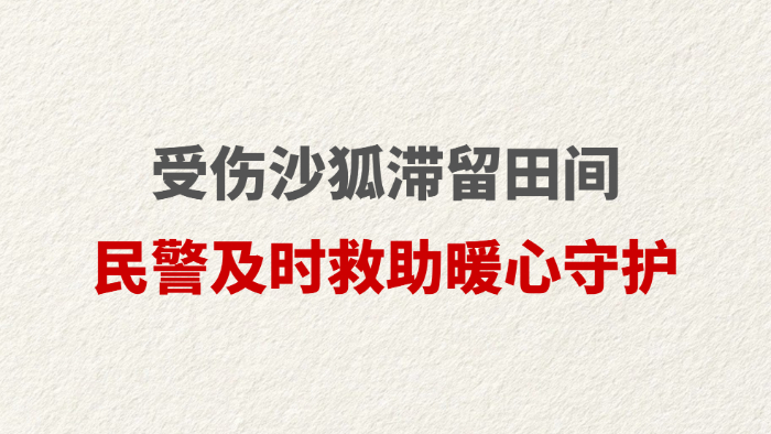 受伤沙狐滞留田间 民警及时救助暖心守护