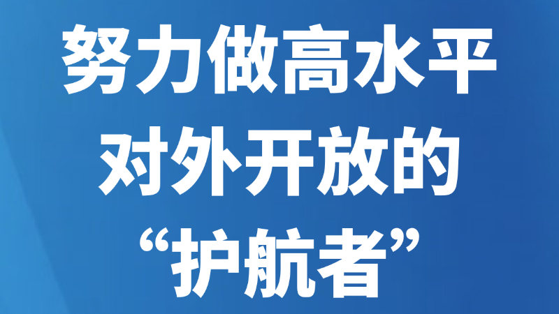 努力做高水平对外开放的“护航者”