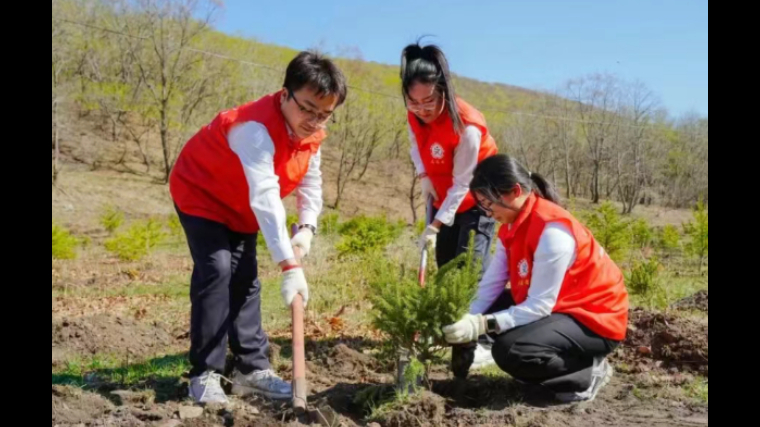 吉林省珲春林区检察院开展“五四”青年节植树活动