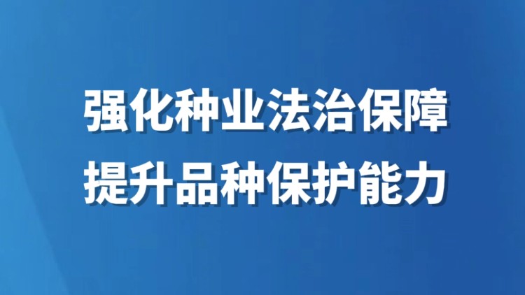 强化种业法治保障 提升品种保护能力