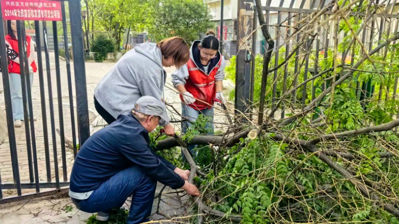 银川市兴庆区山河湾社区：剪枝疏叶解民忧，多方联动美家园