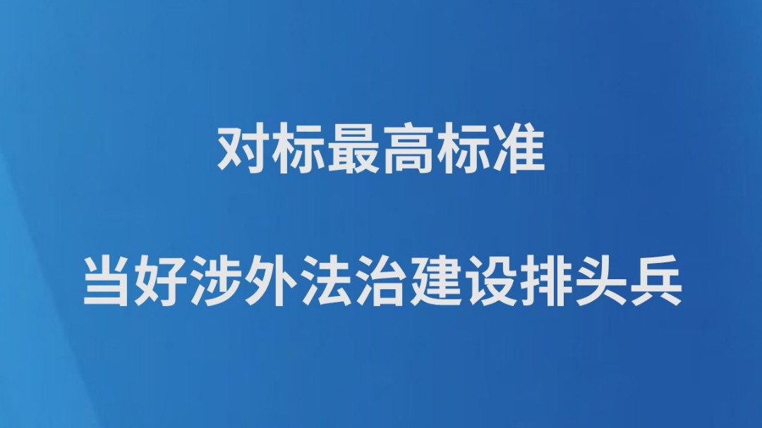 对标最高标准当好涉外法治建设排头兵