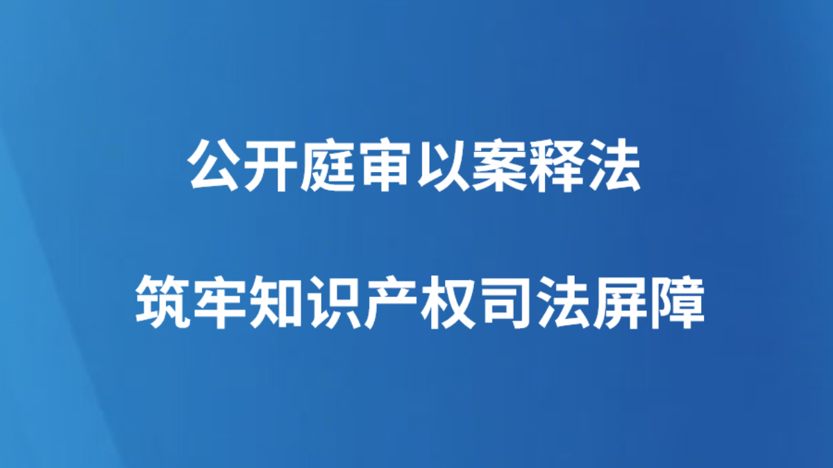 公开庭审以案释法 筑牢知识产权司法屏障