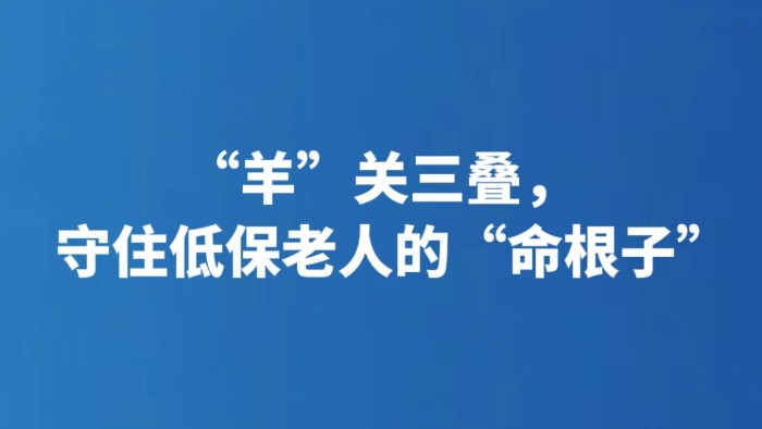 “羊”关三叠，守住低保老人的“命根子”