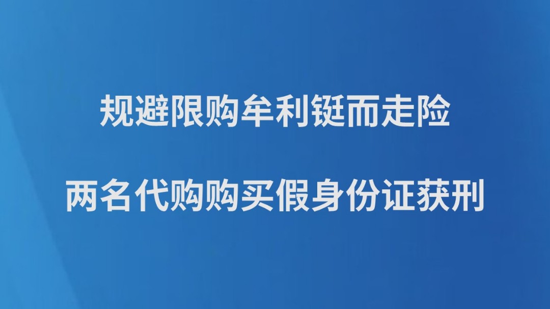规避限购牟利铤而走险 两名代购购买假身份证获刑