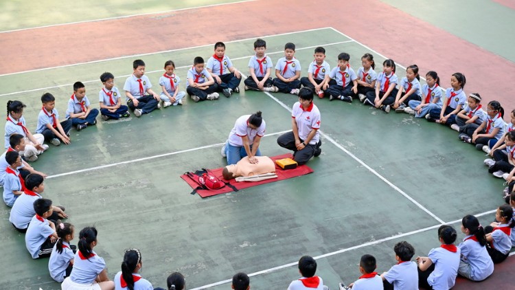 小学生学习急救技能