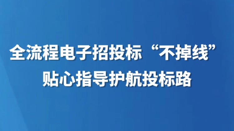 全流程电子招投标“不掉线” 贴心指导护航投标路