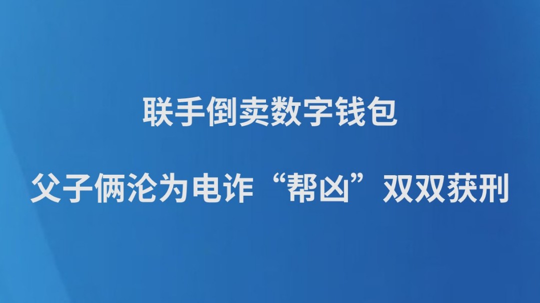 联手倒卖数字钱包，父子俩沦为电诈“帮凶”双双获刑
