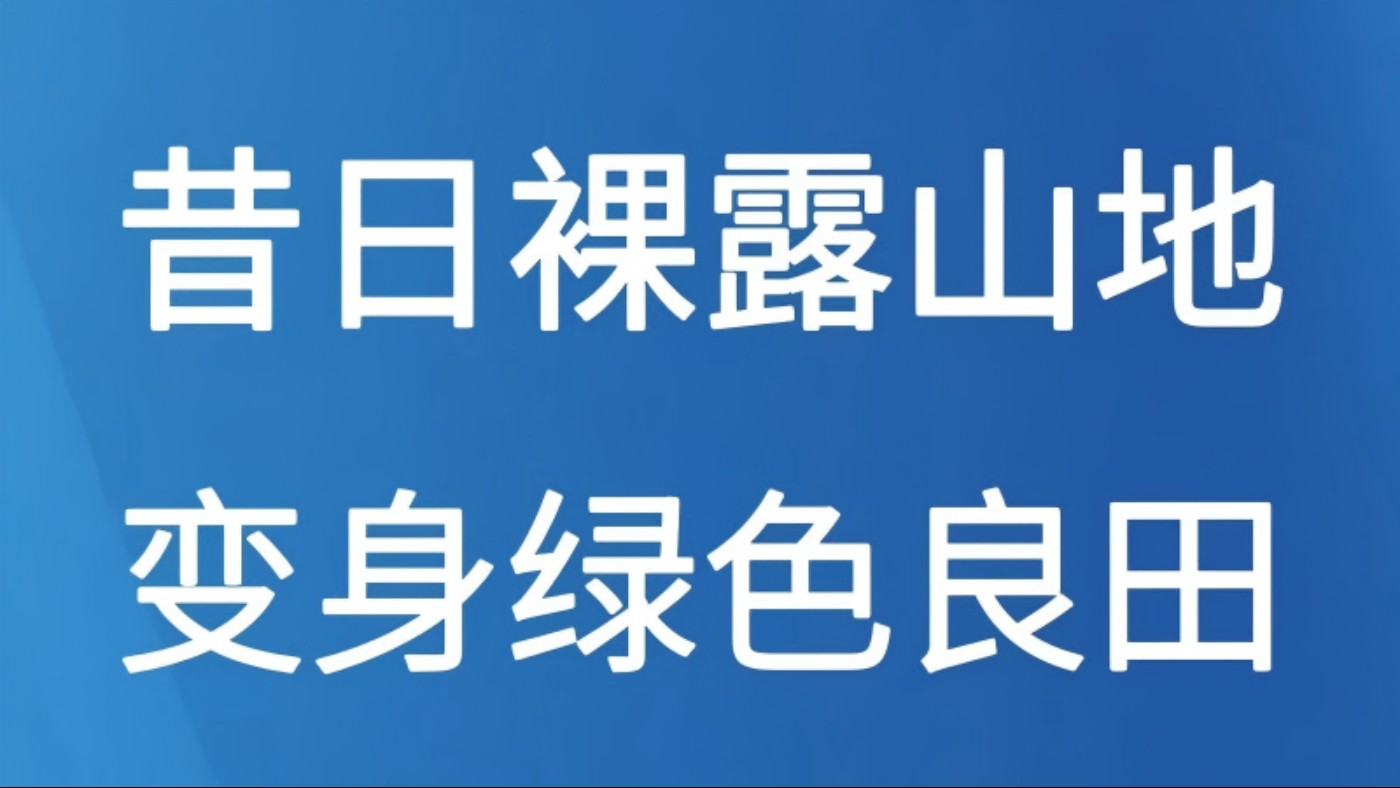 昔日裸露山地变身绿色良田