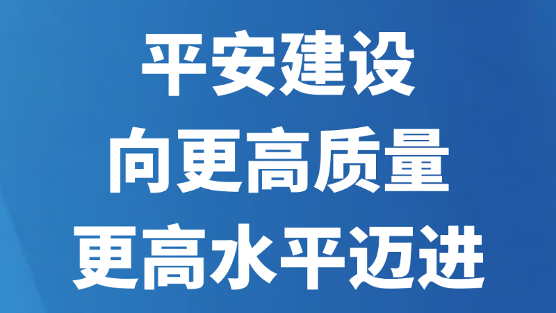 平安建设向更高质量更高水平迈进