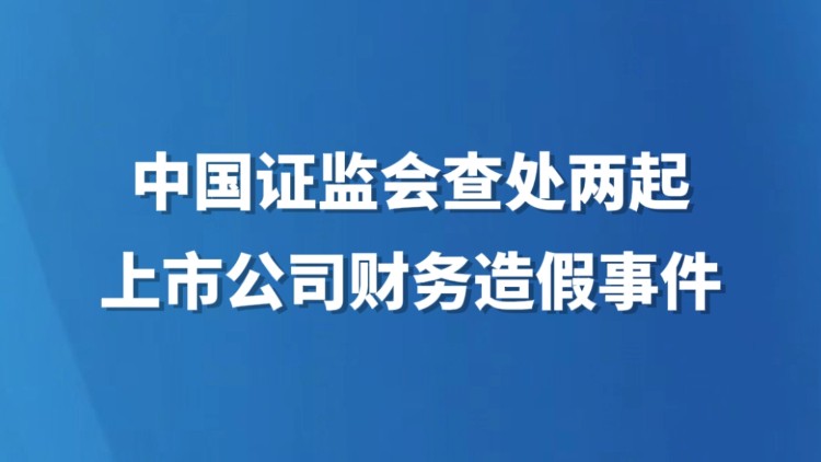 中国证监会查处两起上市公司财务造假案件