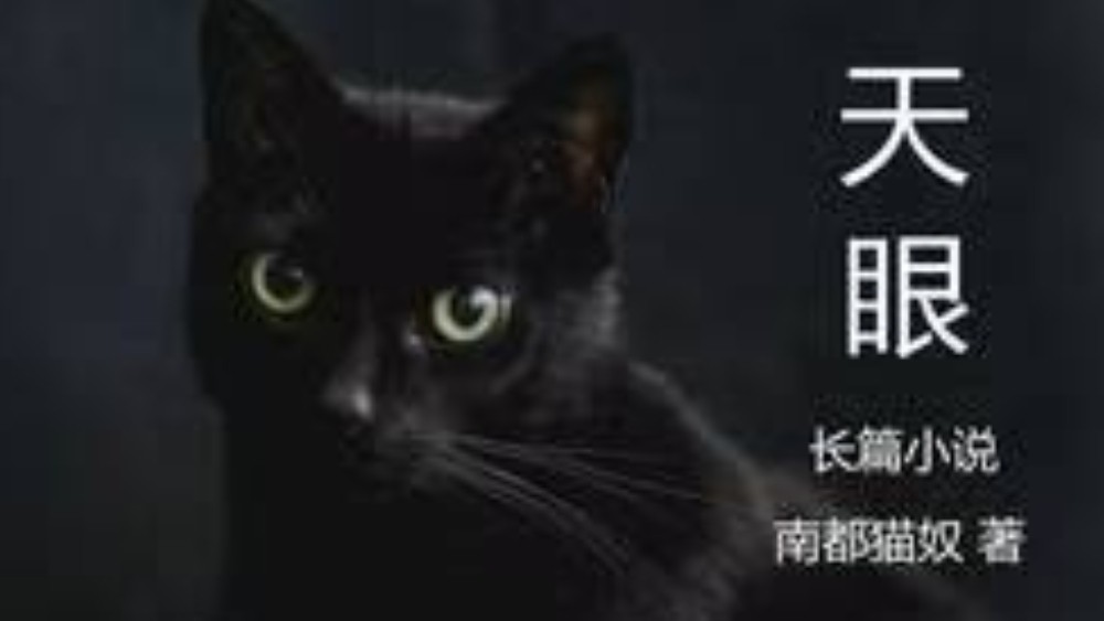 李风宇：跳出崔家湾看世界——读南都猫奴长篇小说《天眼》