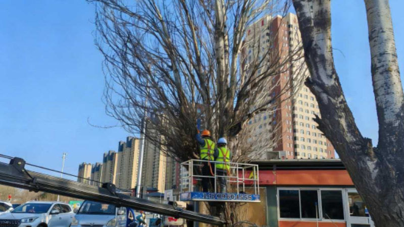银川市兴庆区丽水社区：接诉即办解民忧 依法修剪护权益