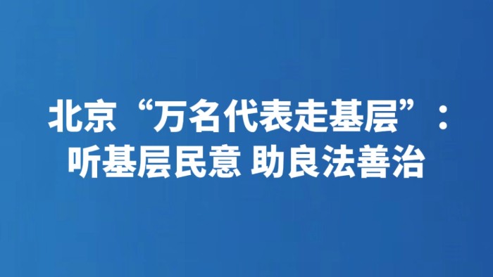 北京“万名代表走基层”：听基层民意 助良法善治