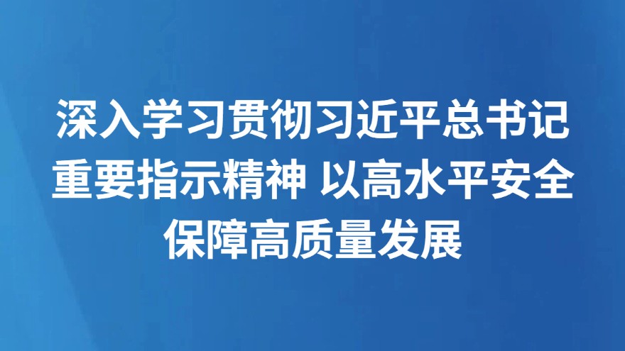 深入学习贯彻习近平总书记重要指示精神 以高水平安全保障高质量发展