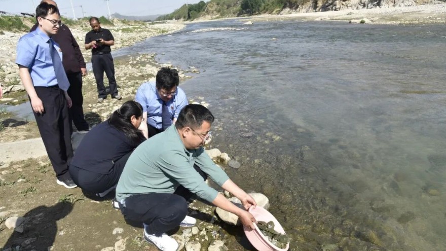听证开到“河畔边”，鳖苗放流“生态兴”