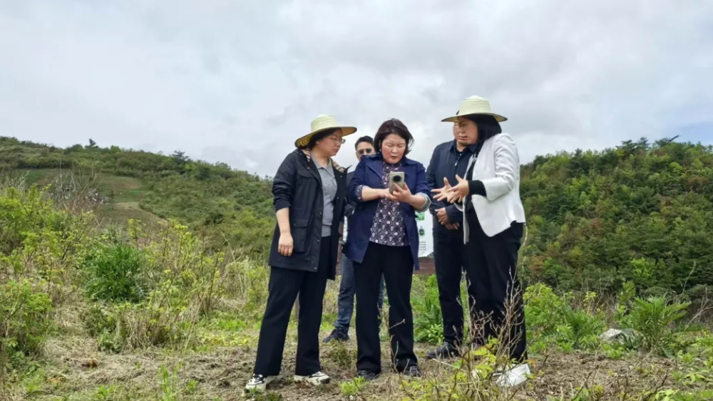 达州市妇联赴宣汉县调研