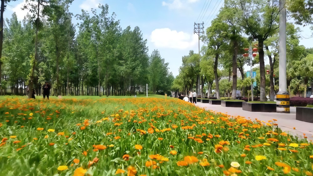 大竹：繁花盛放 生态风景线扮靓园区