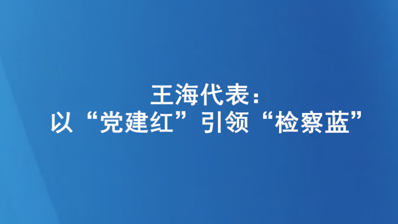 王海代表：以“党建红”引领“检察蓝”