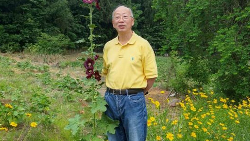 成都有个“伊甸园”：一朵蜀葵和两个凡人的传奇故事